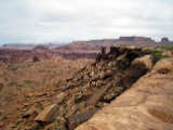 Moab-White Rim 4-08 029